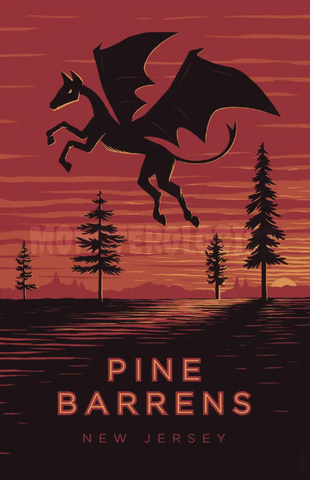MO-Pine Barrens, New Jersey Travel Poster - 11x17