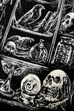 VF-Cabinet of Curiosities - M