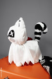 VF-Ghost Kitty Plush Toy