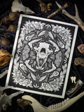 SLA-The Collector - 8x10 (8002)