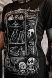 VF-Cabinet of Curiosities - XL