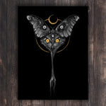 BSA-Crestfallen - 8x10 (8007)