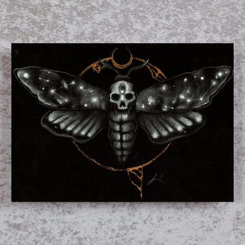 BSA-Death's Head Moth 8x10 Prints
