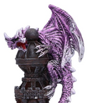 NN-Guardian of the Tower (Purple) 17.7cm (U6433X3)