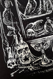 VF-Cabinet of Curiosities - S