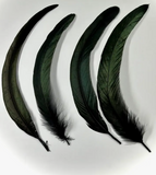 GM-Black Feathers For Smudging