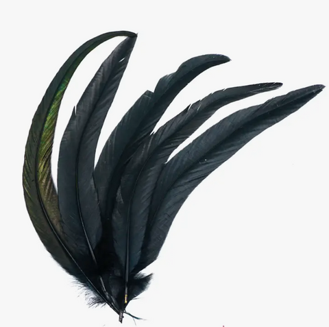 GM-Black Feathers For Smudging