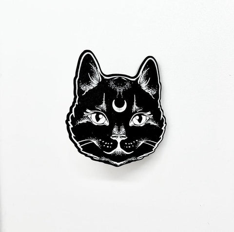 CUR-Witches Cat Pin