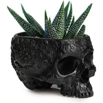 TWS-Skull Plant 6" Planter