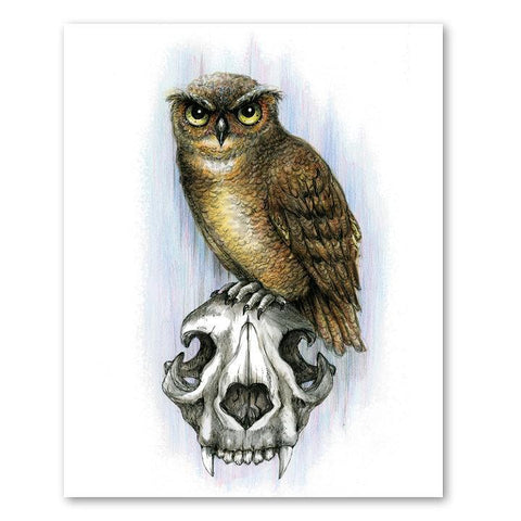 GB-Owl Skull - 8x10